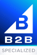 website design services: b2b specialized