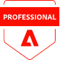 website design services: adobe professional
